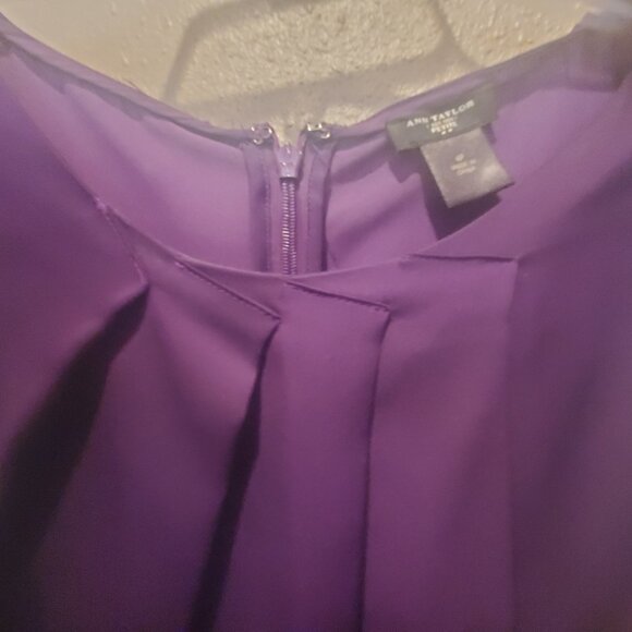 Ann Taylor Petite Pleated Front Blouse size 4P - Picture 3 of 4